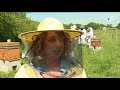 Apiculteurs  une formation certifie  auray pour tout savoir sur les abeilles