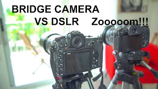 Super Zoom Bridge Camera vs Pro DSLR 80-400mm