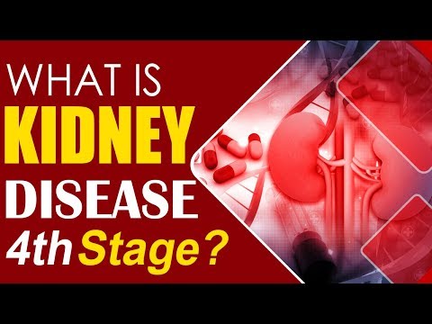 Karma Ayurveda explains Kidney Disease 4th Stage | Karma Ayurveda Hospital
