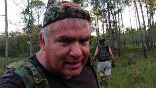 GREEN  SWAMP sunset/night hike for SASQUATCH with trail cam deployment
