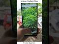 VIVO Y58 5G Camera Testing &amp; First Look Complete Charging Solution Powerful 6000Mah Battery#shorts