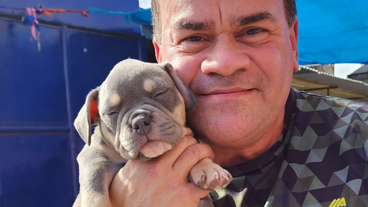 FEIRA CÃES EM CAXIAS, VIDEO NOVO.