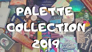 Palette Collection | 2019