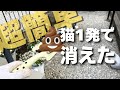 【庭の敵】猫のふん対策には〇〇!超音波と木酢液は辞めとけ