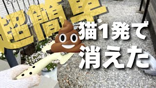 【庭の敵】猫のふん対策には〇〇！超音波と木酢液は辞めとけ