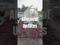 Allotment Updates #allotment #allotmentlife