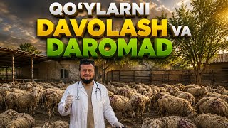 Qoʻy Boqish va Davolash,Doniyor akadan Maslahatlar Hamma Koʻrsin