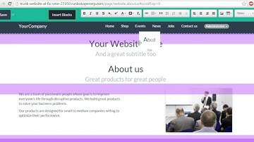 Customize Your Website With OpenERP