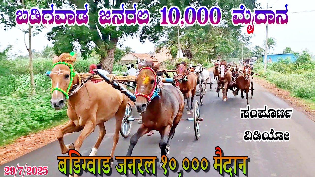 ✔ಬಡಿಗವಾಡ ಜನರಲ 10,000 ಮೈದಾನ| बडिग्वाड जनरल १०,००० मैदान 29/7/2025 #badigawd @ghodasharyat 