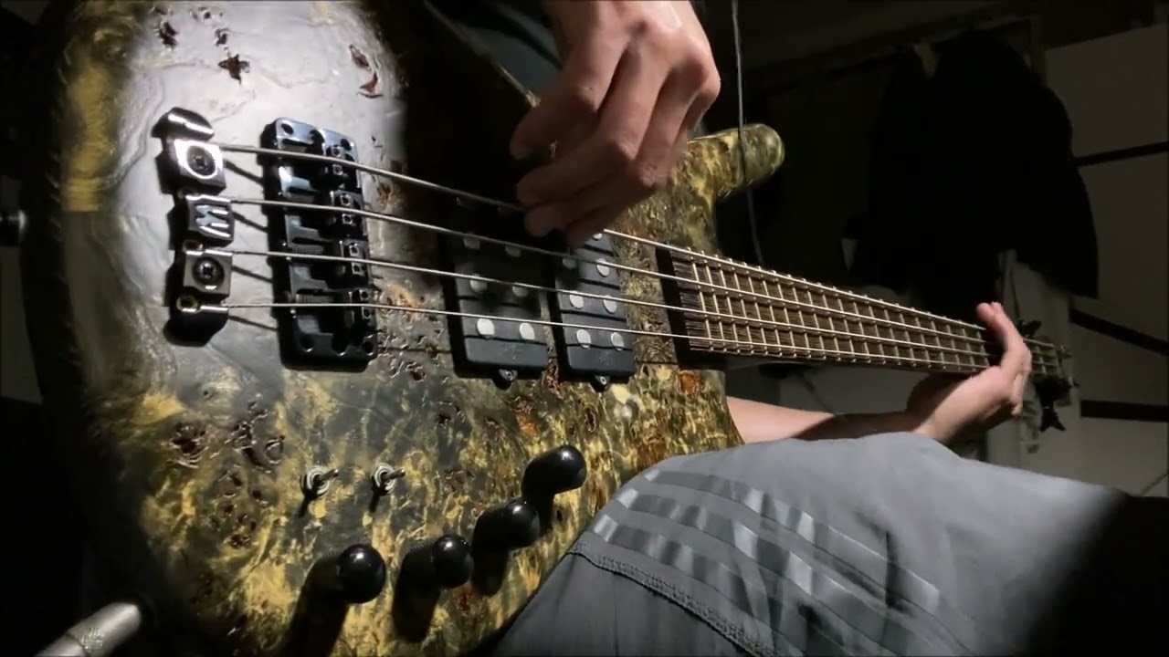 Copycat series 12 - Leo37 GLYSD