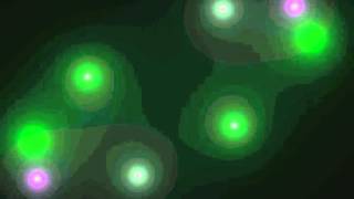 Carnage U0026 Borgore  Incredible house  Remix