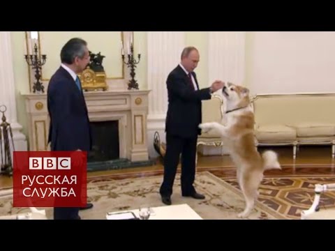 Собака Путина облаяла японских журналистов