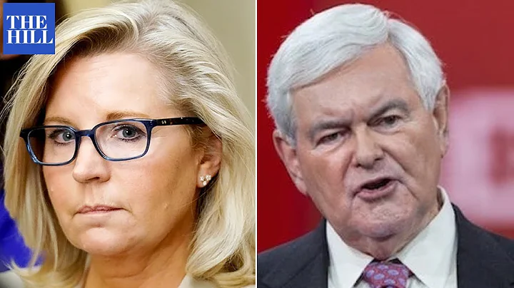 Liz Cheney Blasts Newt Gingrich For Saying Jan. 6 ...