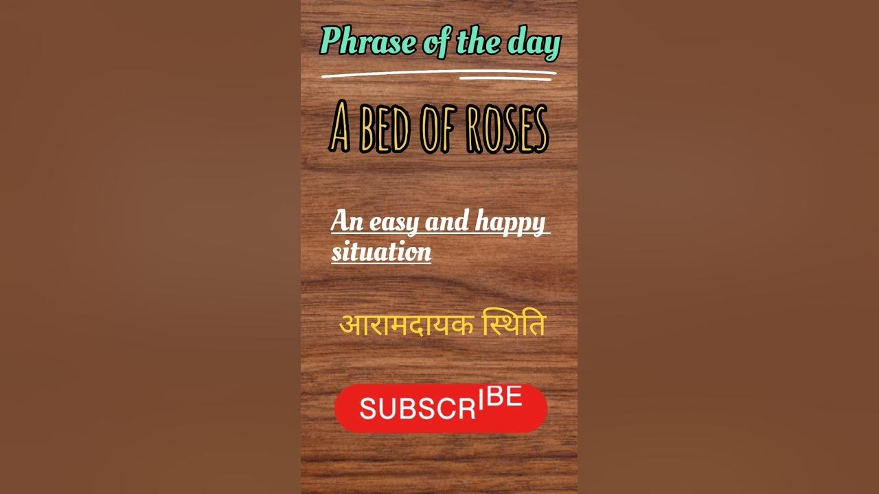 a-bed-of-roses-meaning-in-hindi-phrases-abedofroses-youtube