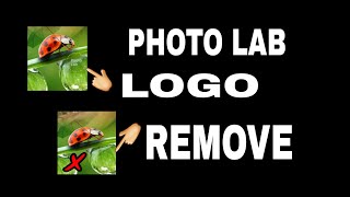 how to remove photo lab watermark 2020 tric screenshot 3