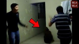 5 مشاهد ظهور عفاريت حقيقية صورتها عدسات الكاميرا !!