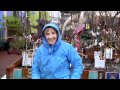 February - Planting Hardy Annuals February - Planting Hardy Annuals