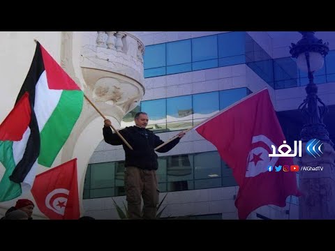 الشارع التونسي يشيد بالجهود المصرية لوقف إطلاق النار في غزة