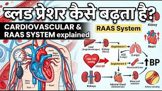 System Explained In 3 Minutes Blood Pressure Control Renin Angiotensin Aldesterone System