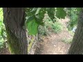 Rakaca-víztározó körbe és fel a kék +