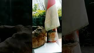 Situs Watu Lumpang Sungai Lembu jingklongchannel saveheritage explore situspurbakala