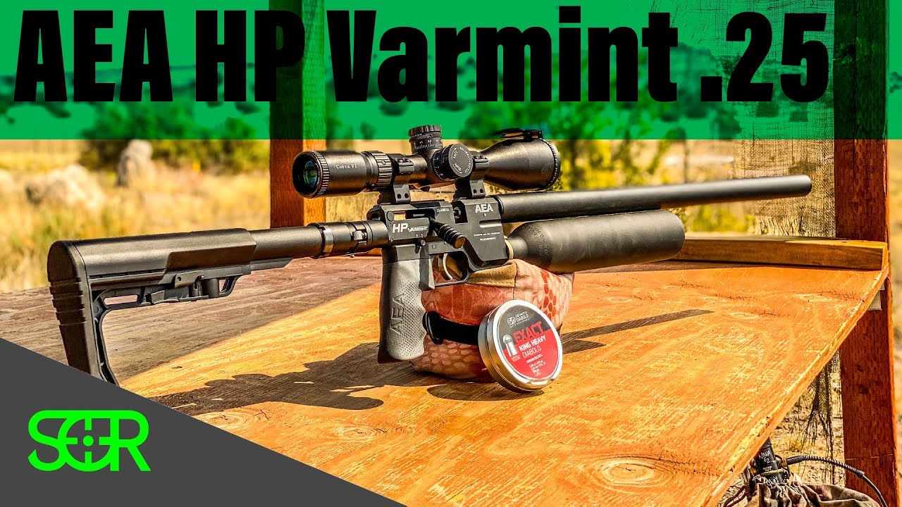 AEA HP Varmint REVIEW - .25 CAL WITH 80 FOOT POUNDS! 