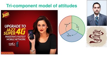 Tricomponent Attitude Model