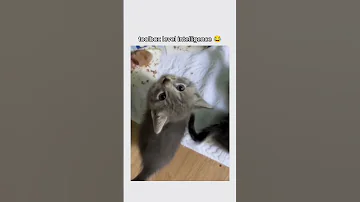 Subscribe For More Cute Videos 