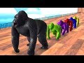 Los Animales De Granja Y Sus Crías Se Transforman En Animales Salvajes Funny Monkey 2 ToTo TV