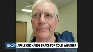 Apple orchard prepares for cold temperatures
