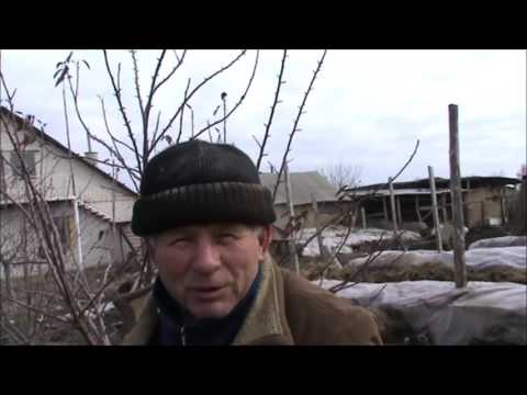 pishechki-smotret-video-trahnul-v-trusikah-zhenshinu