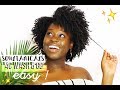 4C NATURAL HAIR EASY CAREFREE WASH N GO 🌀SOULTANICALS 🌀 + NIGHT ROUTINE