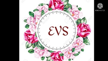 Class 4. EVS. Chapter 7. As stone as wind. part