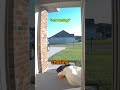 The Scariest Chase of Her Life…  😱🦆