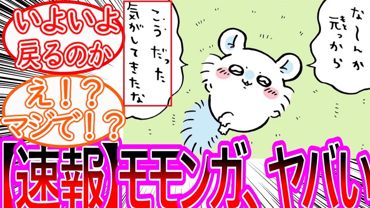 【ちいかわ】重要回！モモンガ、いよいよ取り返しがつかないことになる…に対する読者の反応集【ゆっくりまとめ】