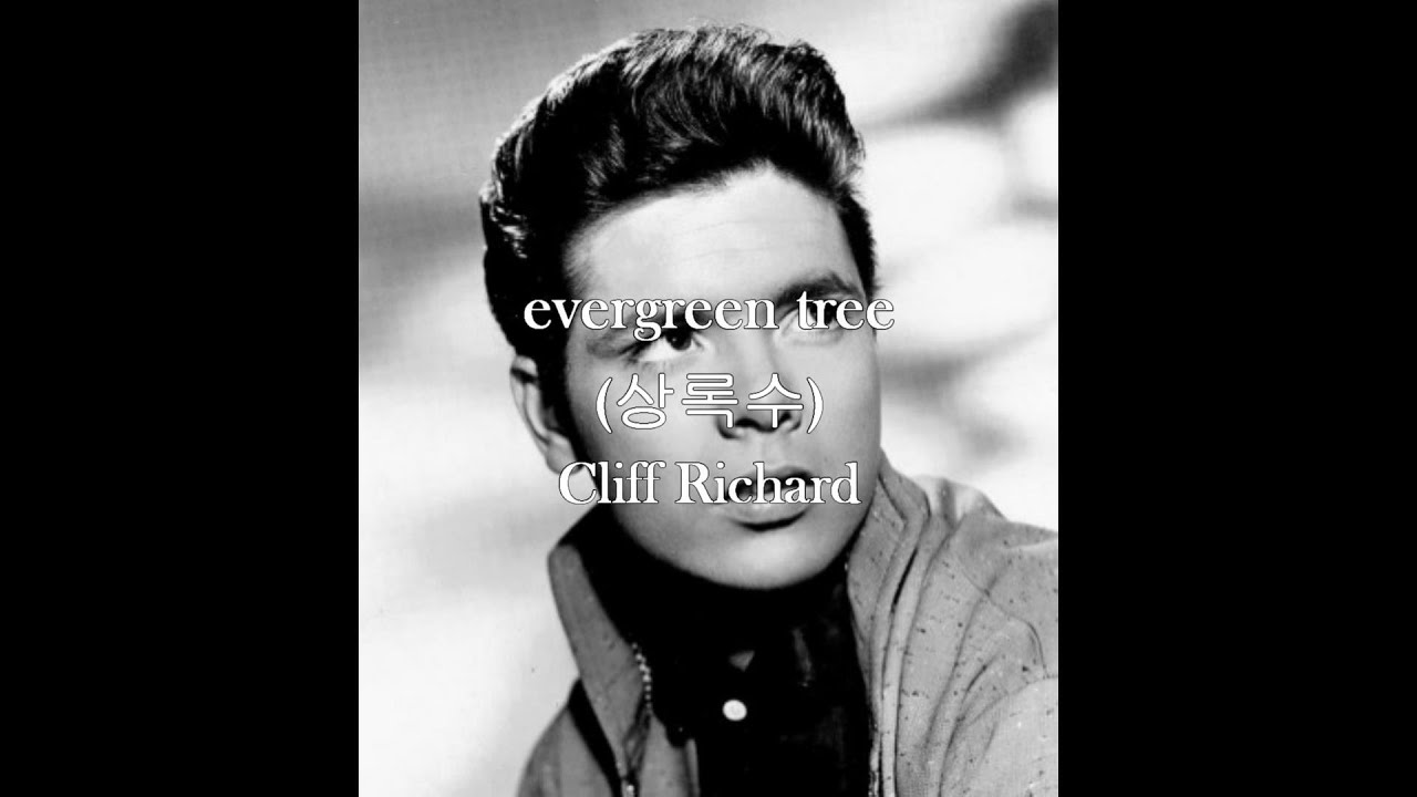 evergreen tree Cliff Richard YouTube