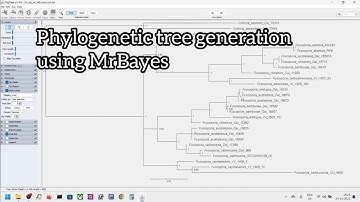 #4 - Bayesian Inference using MrBayes and understanding it
