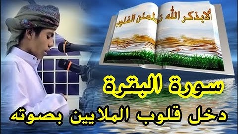 أجمل الأصوات 📣 أسامة زهري 🔉 Usama Zehri           سورة البقرة