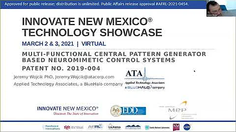 Multifunctional Central Pattern Generator-Based Ne...