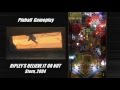 Ripley S Believe It Or Not Pinball Machine Gameplay Stern 2004 