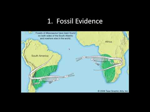 Continental Drift 2