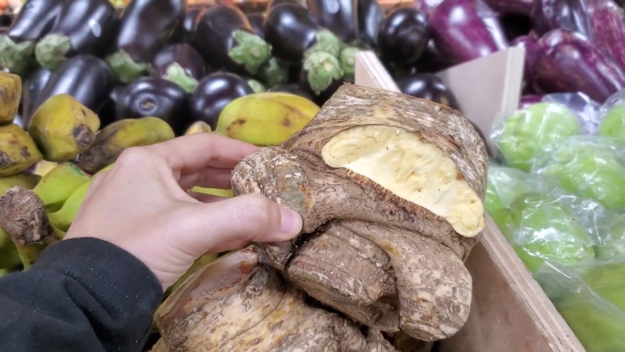 Batata Baroa Nos Estados Unidos Youtube