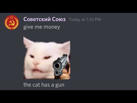 Cat Has A Gun - Meme - Youtube