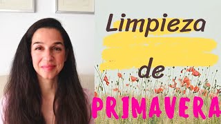 10 ZONAS que OLVIDAS LIMPIAR. Limpieza de PRIMAVERA. Y 3 TIPS para empezar.