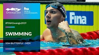 Top 50m Butterfly Moments | Men's Swimming | FINA World Champs 2019 Net Worth