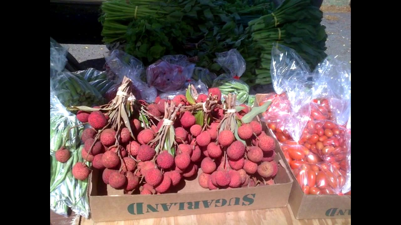 Muhiku Farmers Market slide memories Honolulu Hawaii YouTube