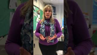 Flipped Classrooms Interview