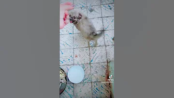 مش هقول على اللي حصل بيني وبينه حبيبي 