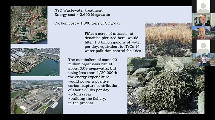 Waste2Soils - Optimizing the Waste Stream to Create Soils & Capture Carbon - Circular City Week 2022