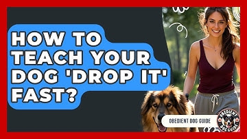 How To Teach Your Dog 